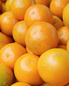 ���i�C���[�W